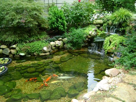 outdoor fish pond ideas|22 Creative Outdoor Fish Pond and Aquarium Designs.